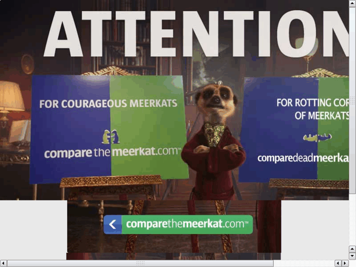 www.comparedeadmeerkats.com