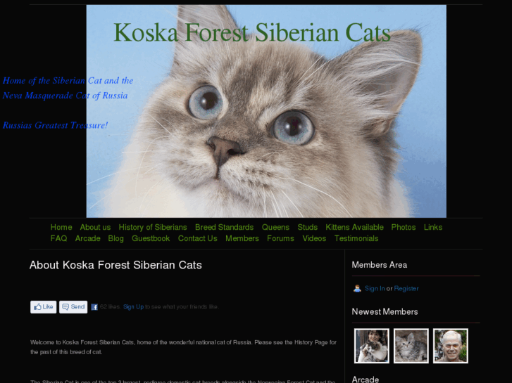 www.koskaforestsiberiancats.com