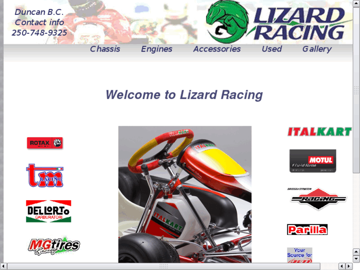 www.lizardracing.com