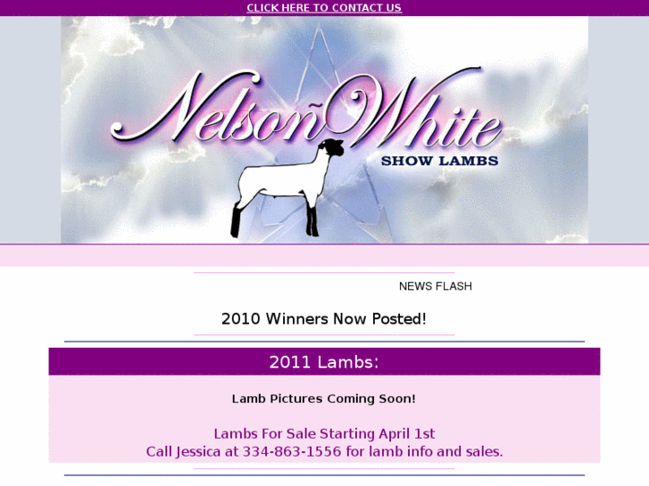 www.nelsonwhiteshowlambs.com