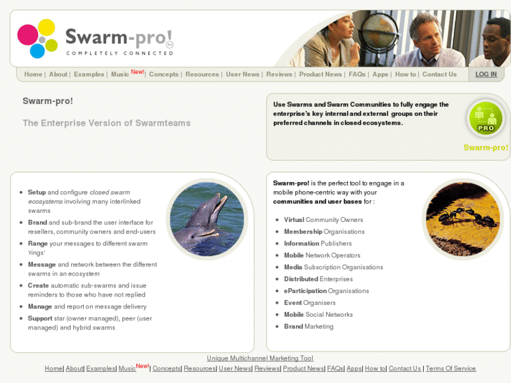 www.swarm-pro.com