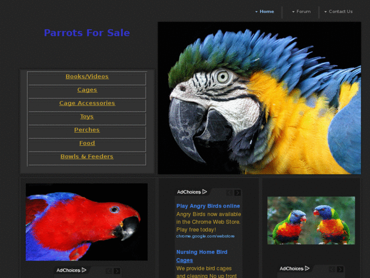 www.parrots4sale.com