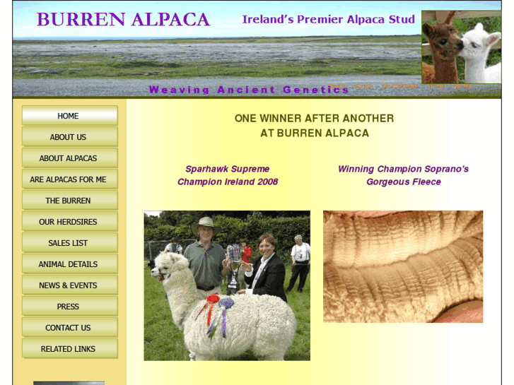 www.burrenalpaca.com