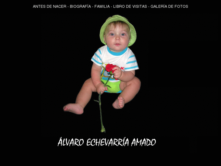 www.echevarria-amado.com