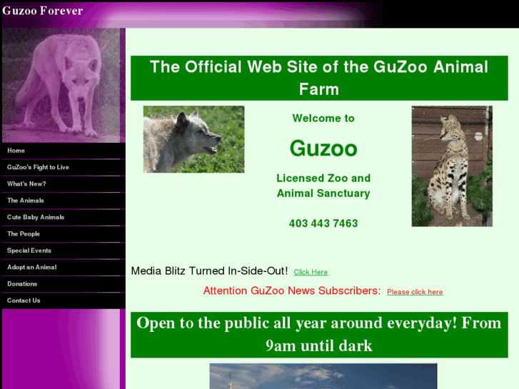 www.guzooforever.com