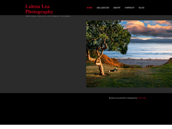 www.lalenaleaphotography.com