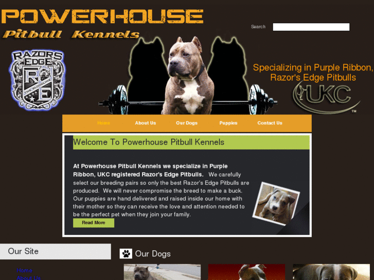 www.powerhousepitbullkennels.com