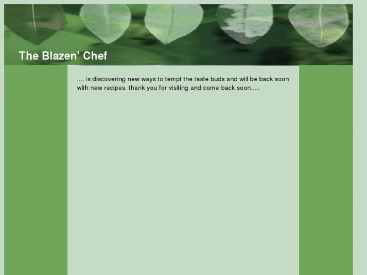 www.theblazenchef.com