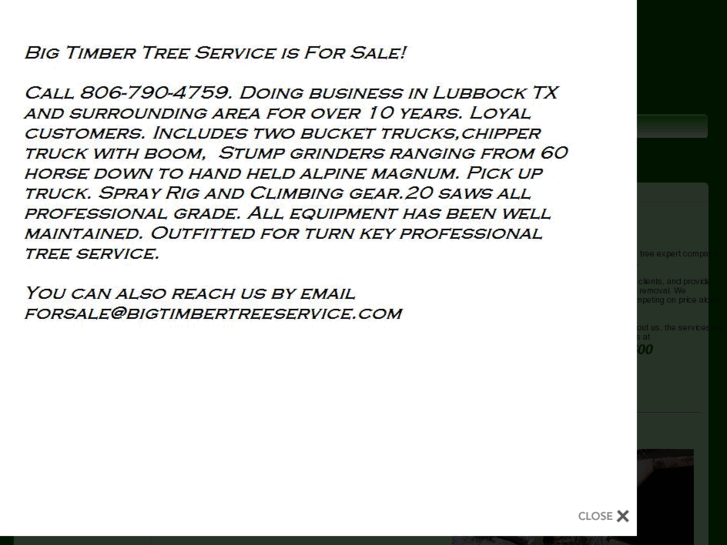 www.bigtimbertreeservice.com