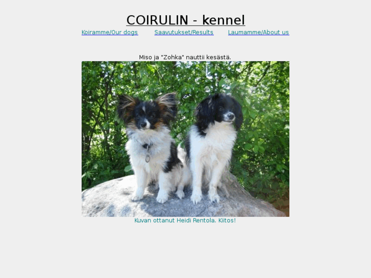 www.coirulin.net