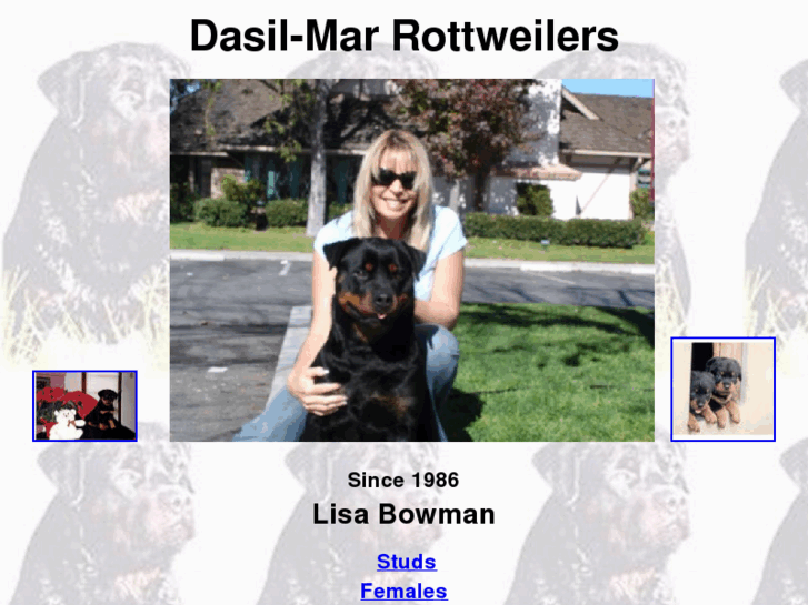 www.dasilmarrottweiler.com