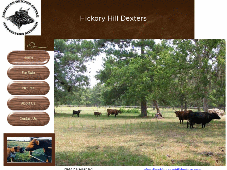 www.hickoryhilldexters.com