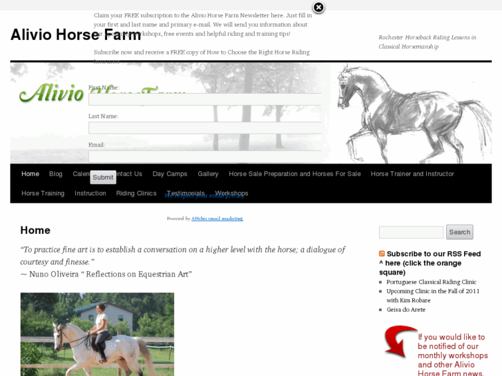 www.aliviohorsefarm.com