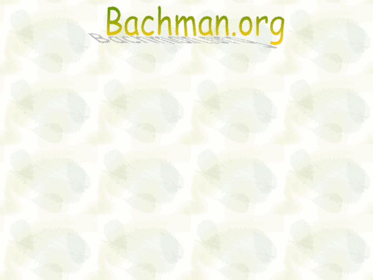 www.bachman.org