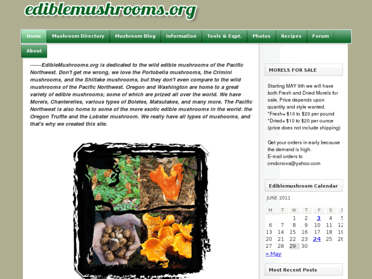 www.ediblemushrooms.org