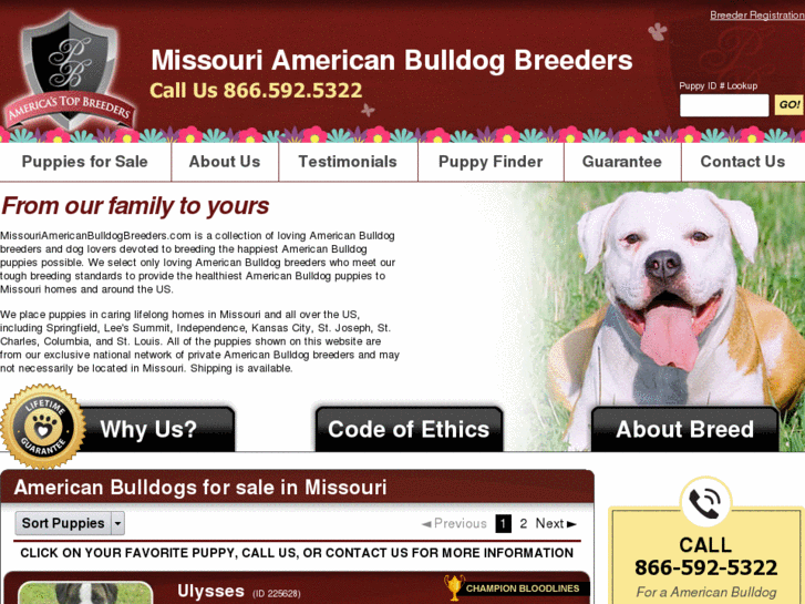 www.missouriamericanbulldogbreeders.com