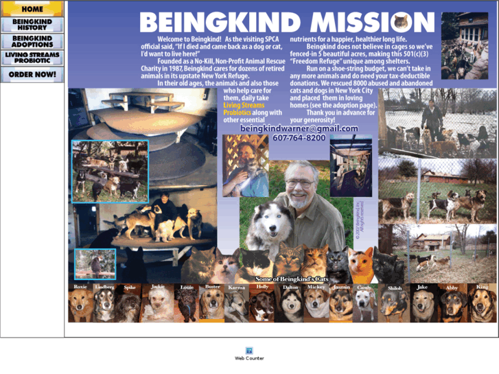 www.beingkindmission.org