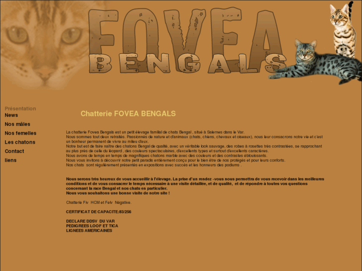 www.foveabengals.com