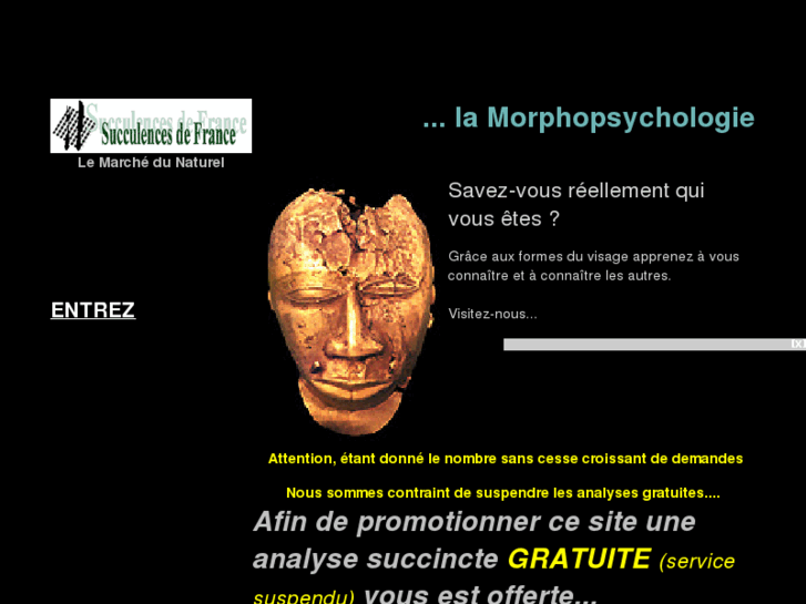 www.morphoconsult.com