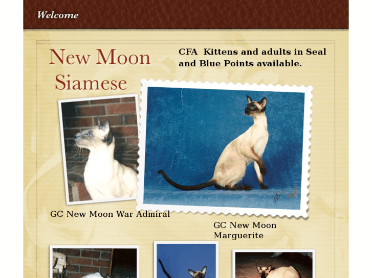 www.newmoonsiamese.com