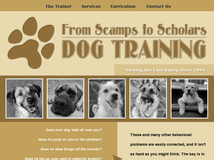 www.scampstoscholars.com