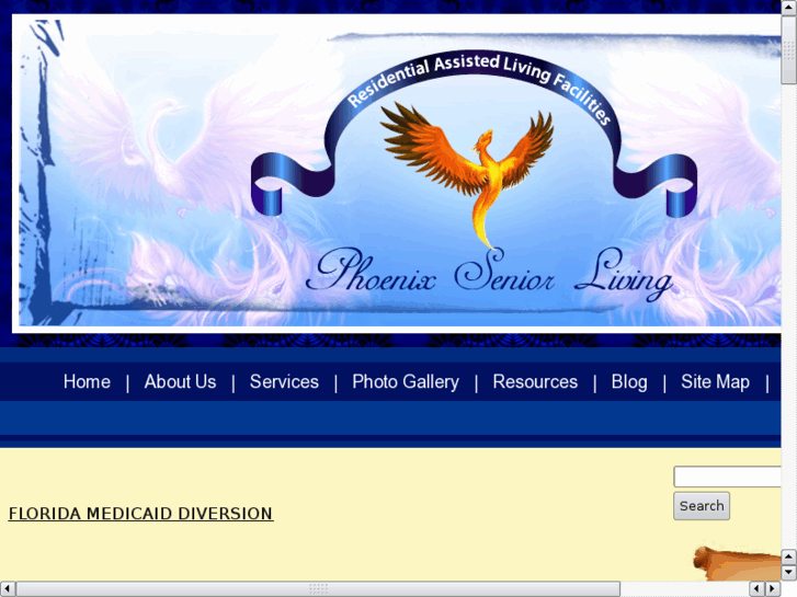 www.medicaiddiversion.com