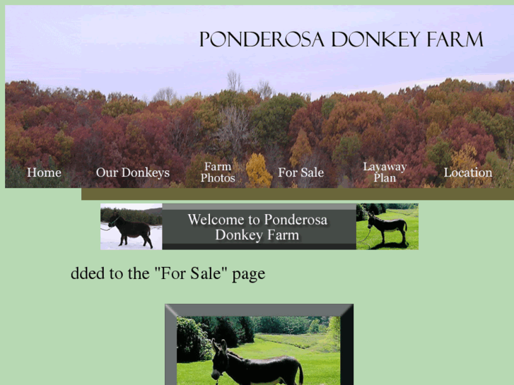 www.ponderosadonkeyfarm.com