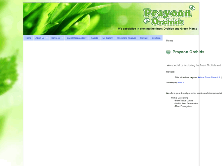 www.prayoonorchids.com