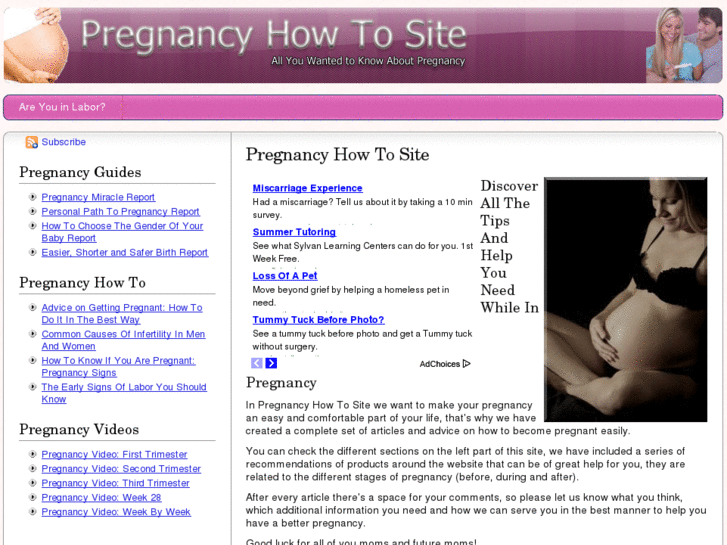 www.pregnancyhowtosite.info