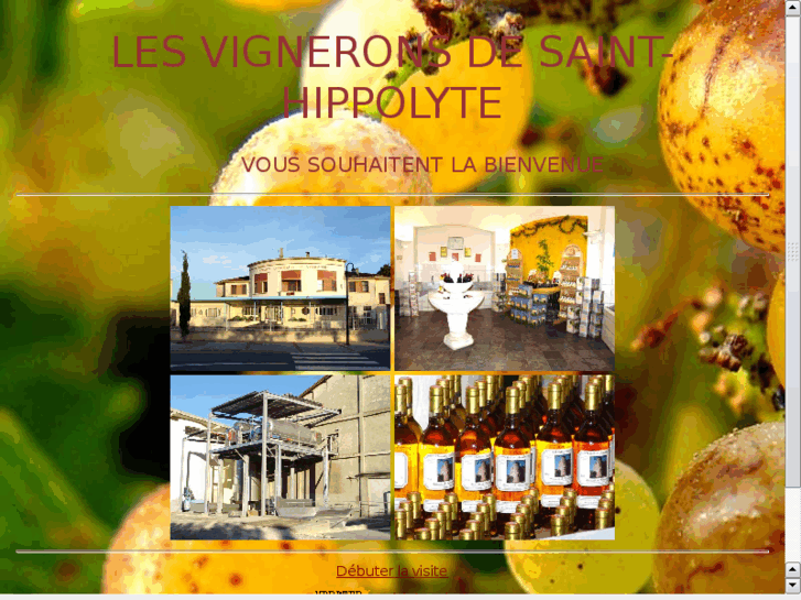 www.vignerons-st-hippolyte.com