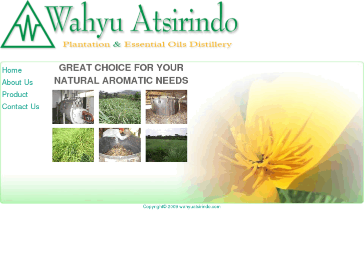 www.wahyuatsirindo.com