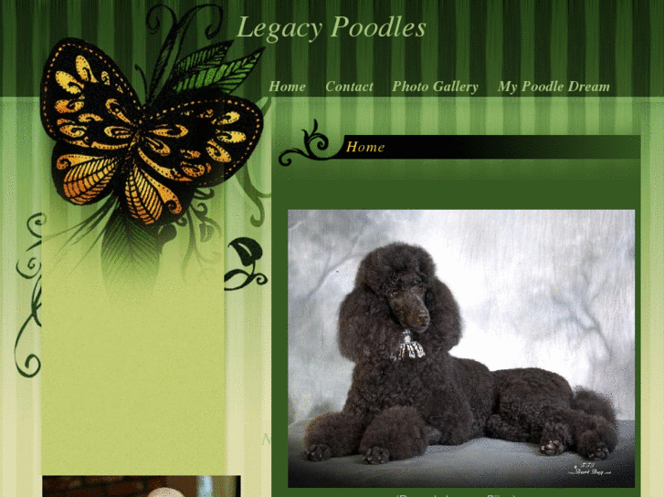 www.poodlelegacy.com