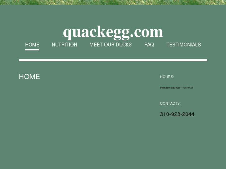 www.quackegg.com