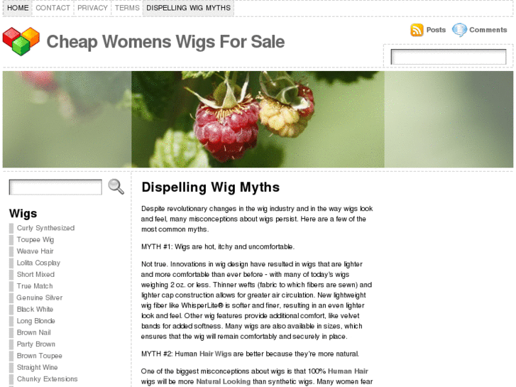 www.womenswigscheap.com