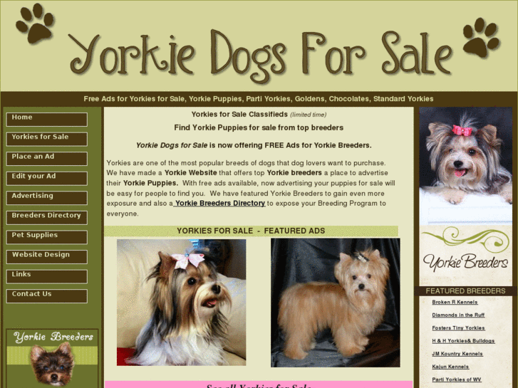 www.yorkiedogsforsale.com