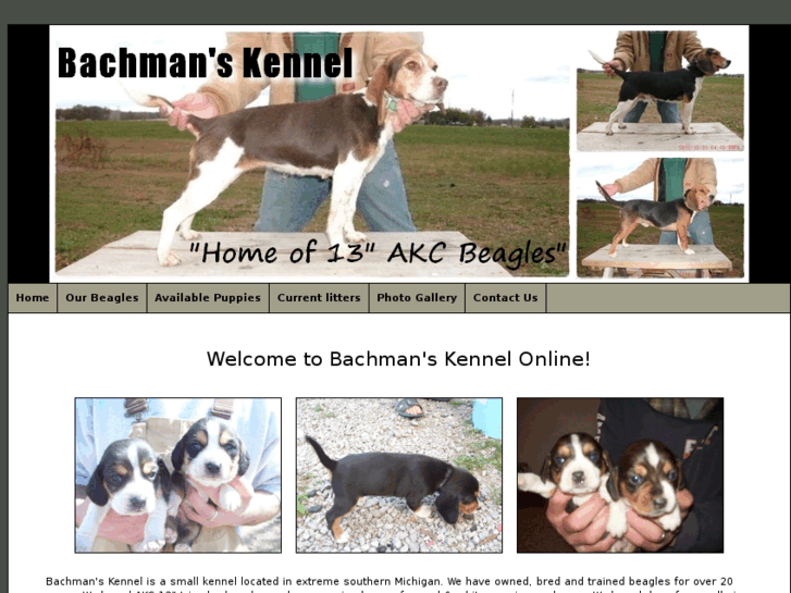 www.bachmanskennel.com