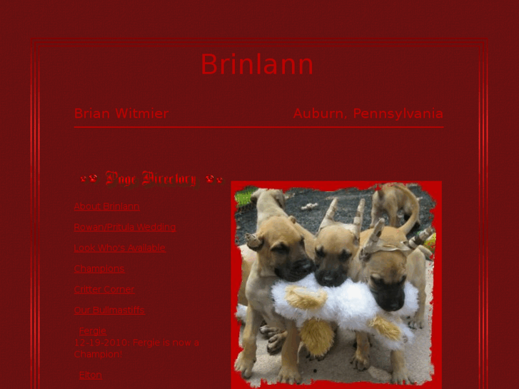 www.brinlann.com