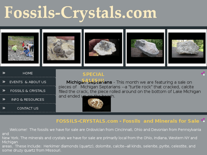 www.crystals-fossils.com