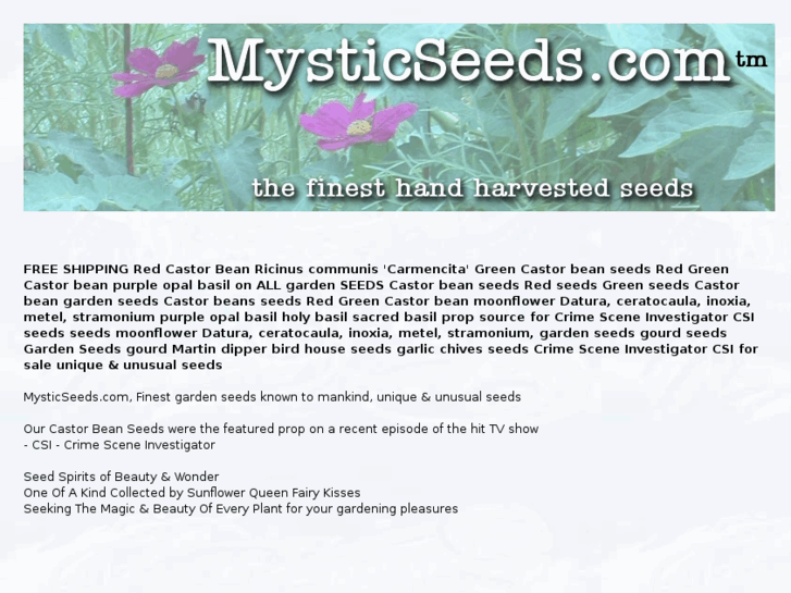 www.mysticseeds.com