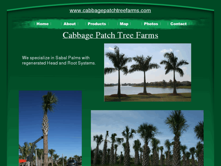 www.cabbagepatchtreefarms.com