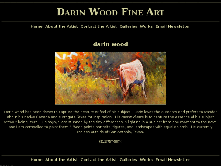 www.darinwoodfineart.com