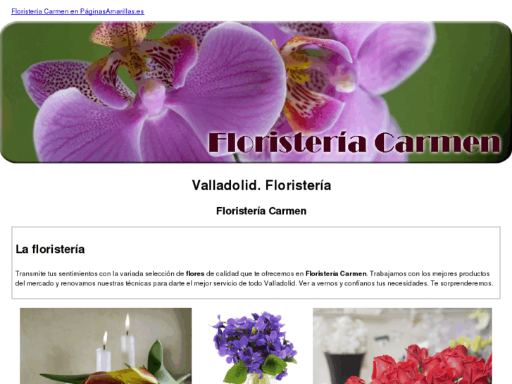 www.floristeriacarmen.com