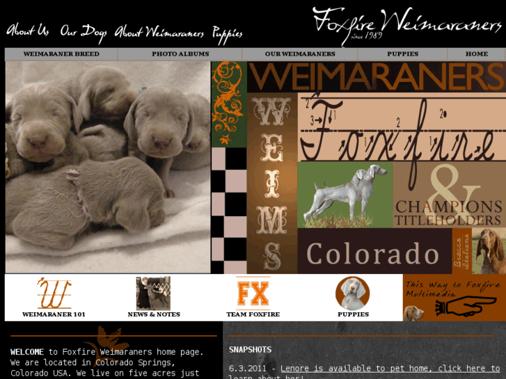 www.foxfireweimaraner.com