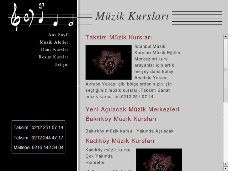 www.muzikkurslari.net