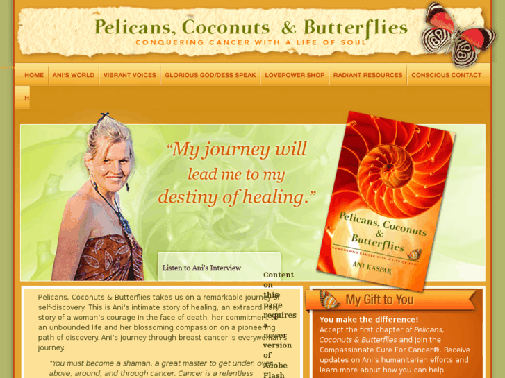 www.pelicanscoconutsandbutterflies.com