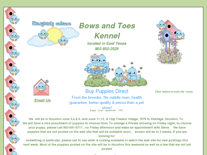 www.bowsandtoes.com