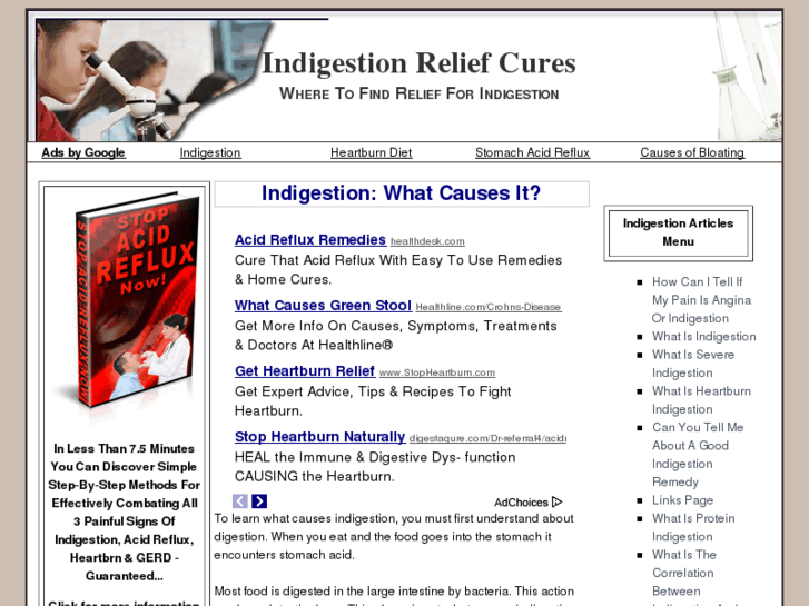 www.indigestion-explained.com