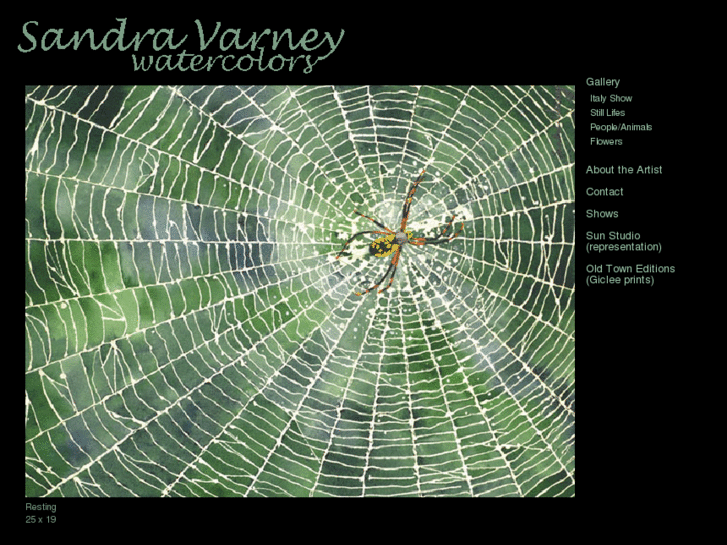 www.sandravarney.com