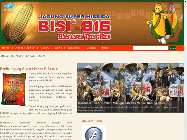 www.bisi816.com