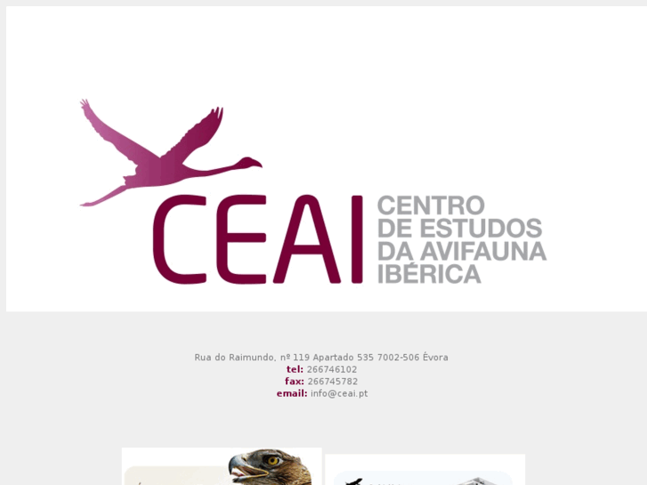 www.ceai.pt